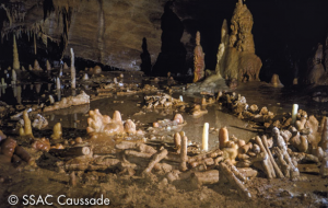 Médiéval-AFDP, lauréat pour conduire l'étude de faisabilité de la réplique de la grotte de Bruniquel