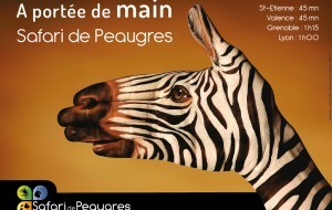 Une campagne d'affichage percutante