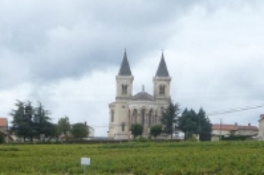 Beaujeu - vignes © Médiéval AFDP