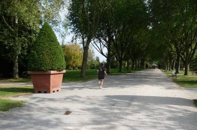 Allée principale du parc d'Isle © Médiéval-AFDP