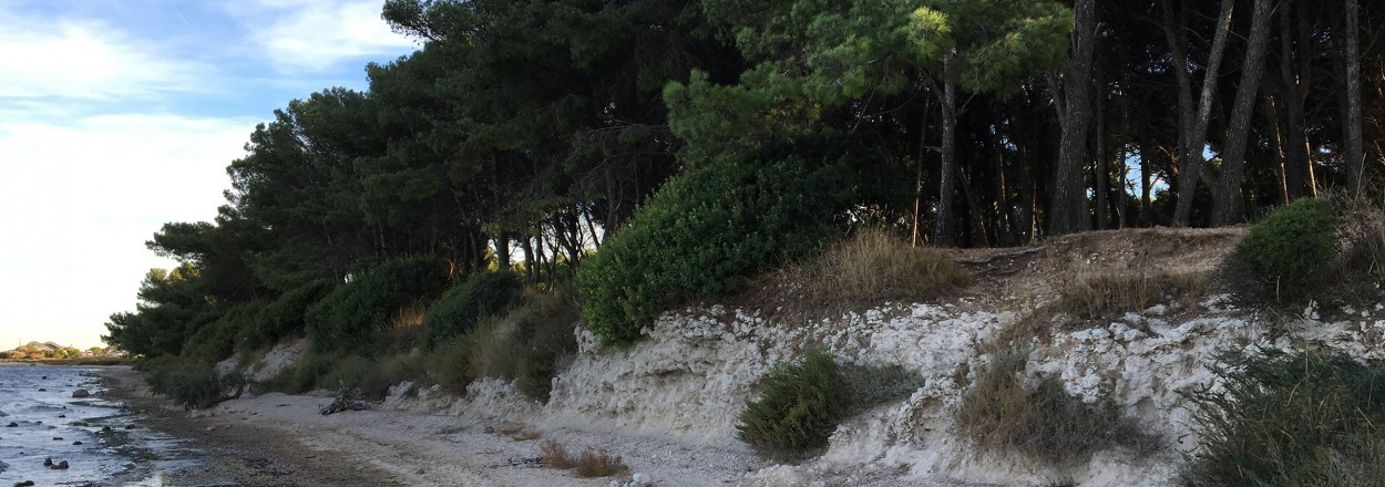Site naturel des Aresquiers