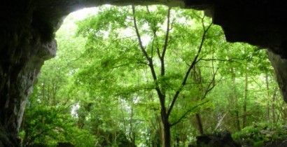 Grottes de Caumont : étude juridique