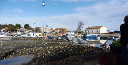 Berges du Canal à Pérols