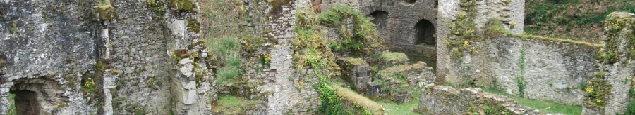 Château de Ranrouët