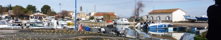 Berges du Canal à Pérols