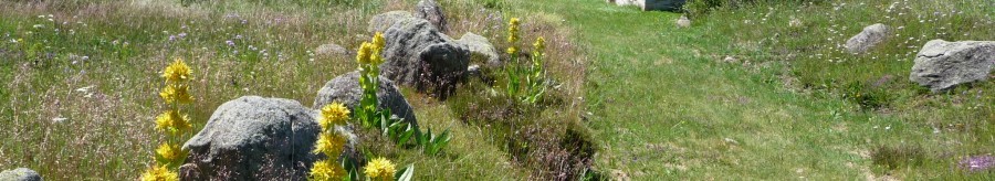 Réserve naturelle régionale des Jasseries de Colleigne - Loire - CEN Rhônes-Alpes