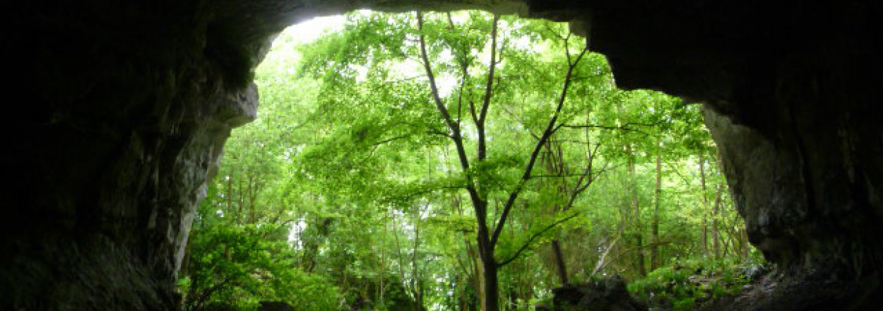 Grottes de Caumont : étude juridique