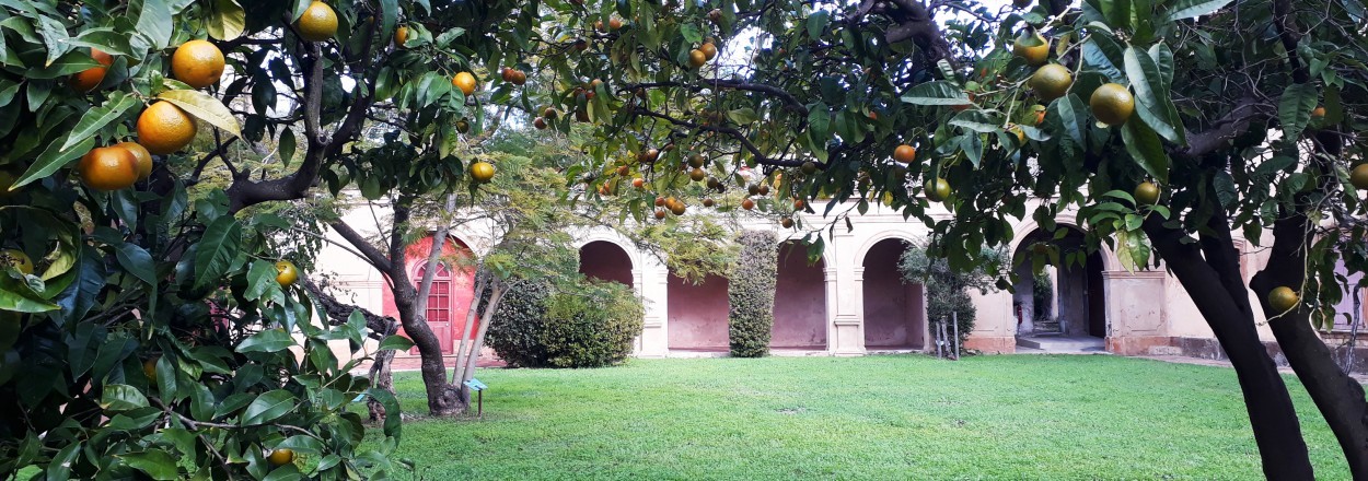 Château de la Moutte / St-Tropez