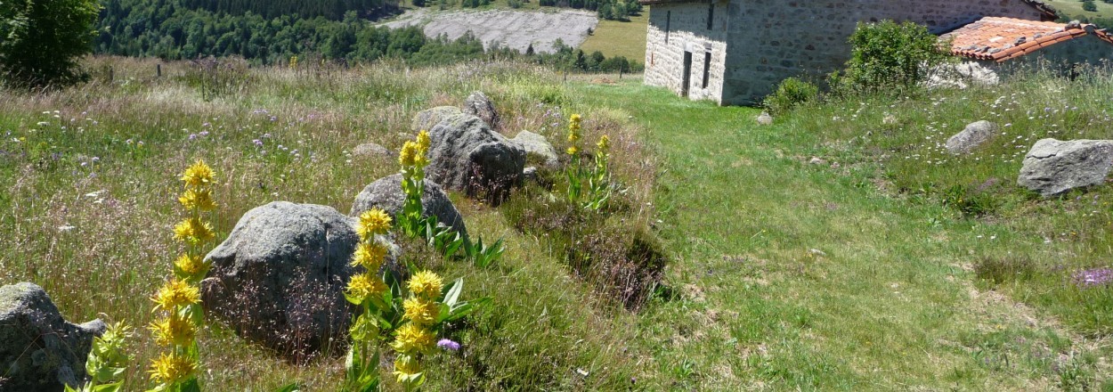 Réserve naturelle régionale des Jasseries de Colleigne - Loire - CEN Rhônes-Alpes