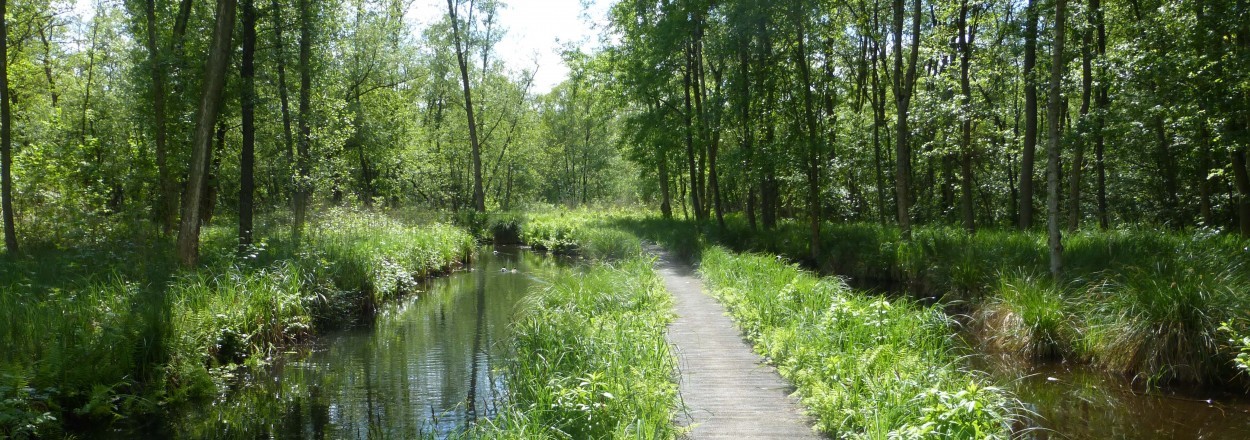 Parc animalier de Saint-Quentin