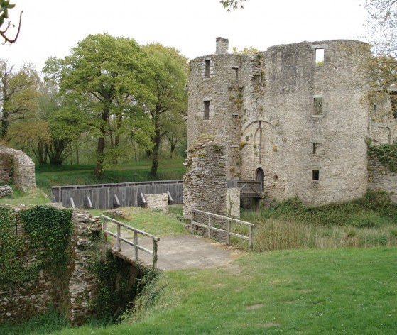 Vue du château © T. Guyon Médiéval AFDP