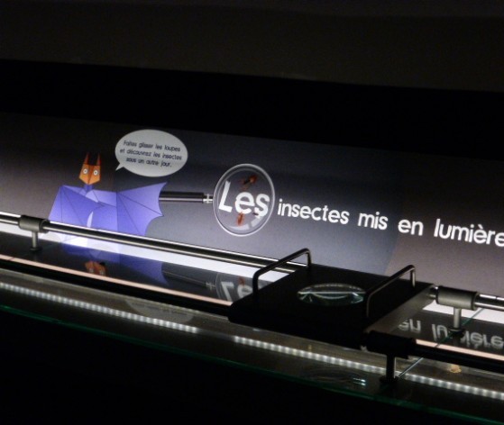 Scénographie intérieure  © Médiéval AFDP