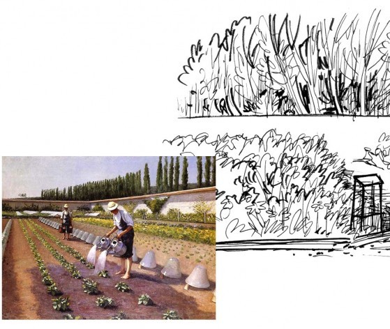 Esquisse du potager et toile de Caillebotte © G. Grammon Médiéval AFDP