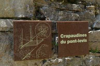 © Médiéval AFDP