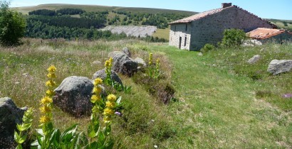 Réserve naturelle régionale des Jasseries de Colleigne - Loire - CEN Rhônes-Alpes