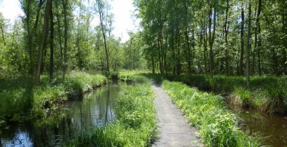 Parc animalier de Saint-Quentin