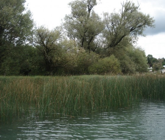 Berges du lac ©  Médiéval AFDP